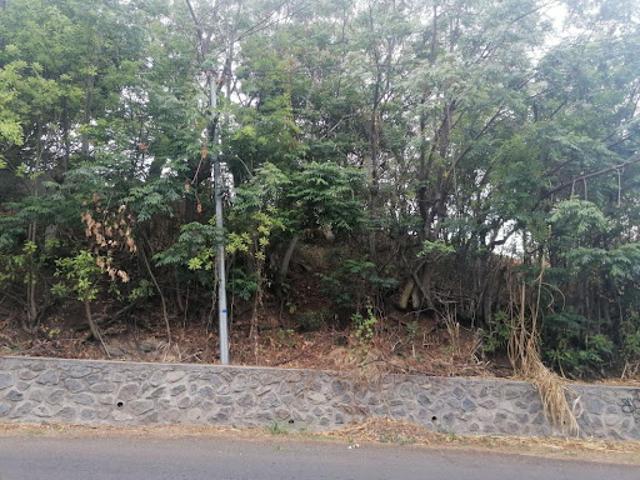 Terrain vente à La Réunion