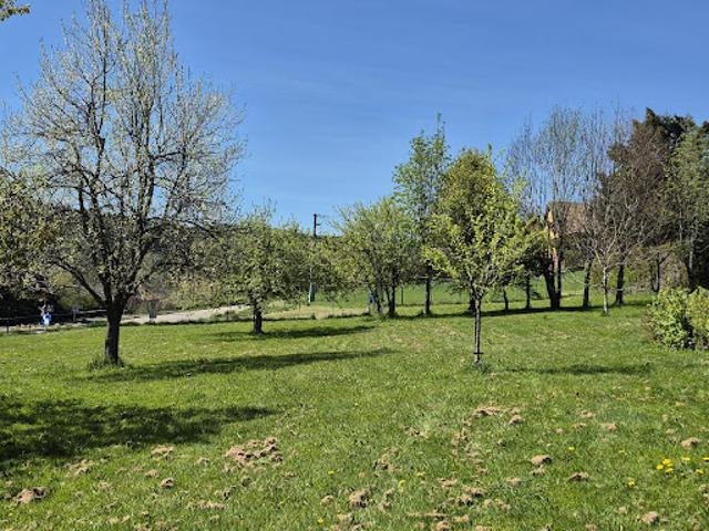 Terrain vente à Molsheim, Ranrupt
