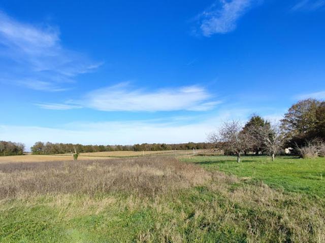 Terrain vente à France métropolitaine, Brizambourg