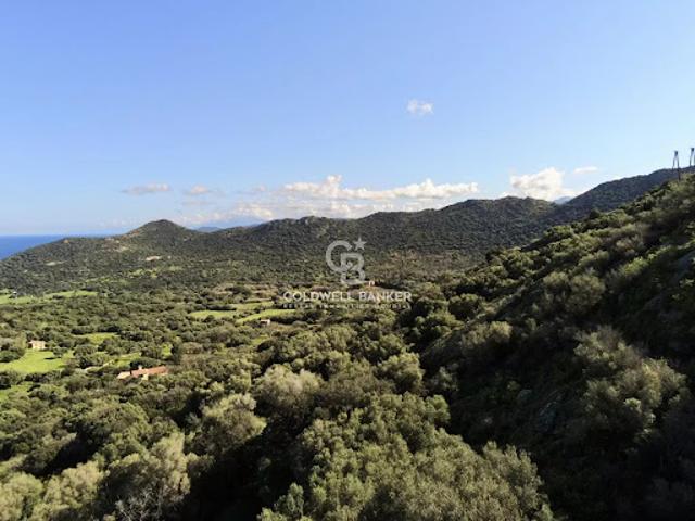 Terrain vente à Calvi, Monticello