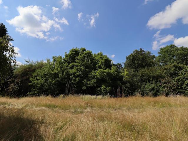 Terrain vente à Bruyères-le-Châtel, Essonne