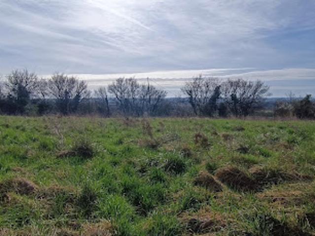 Terrain vente à Larré, Villequiers