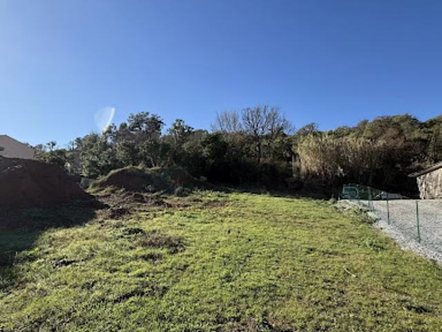 Terrain vente à Corte, Velone-orneto