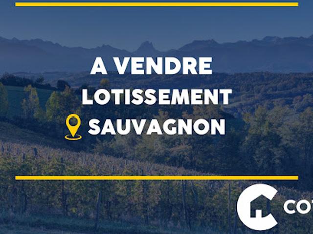 Terrain vente à Pau, Sauvagnon