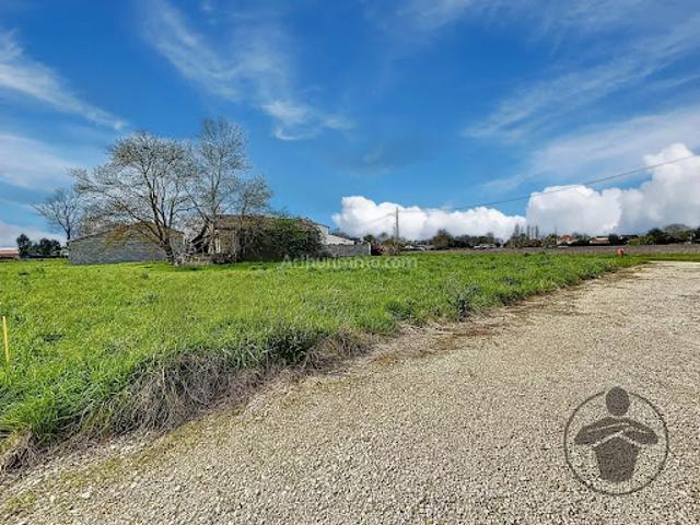 Terrain vente à Libourne, Saint-médard-de-guizières