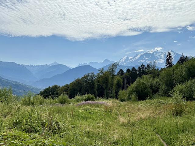 Terrain vente à Bonneville, Combloux