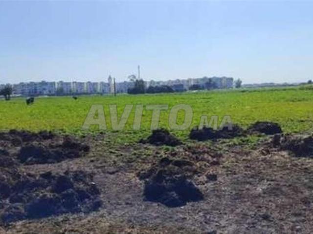 Propriété vente à Anfa, Gharb-Chrarda-Beni Hssen