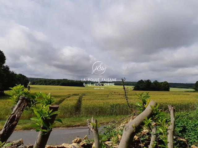 Terrain vente à Mantes-la-Jolie, Condé-sur-vesgre