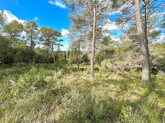 Terrain vente à Arrondissement de Draguignan, Les Adrets-de-l'estérel