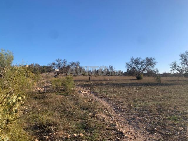 Propriété vente à Anfa, Gharb-Chrarda-Beni Hssen