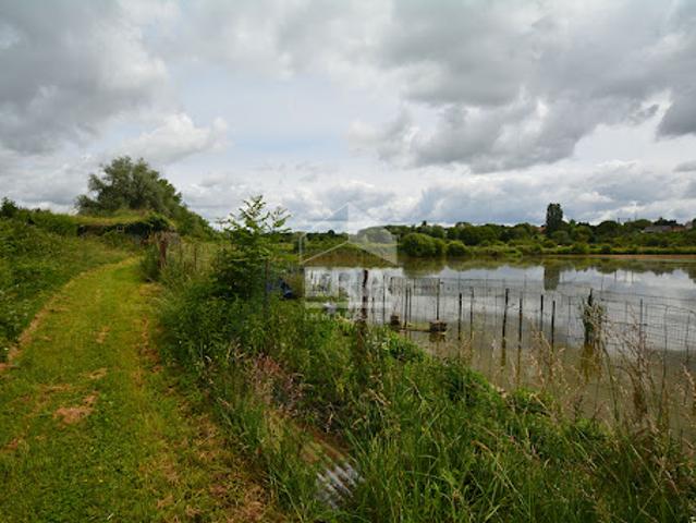 Terrain vente à Avesnes-sur-Helpe, Bachant