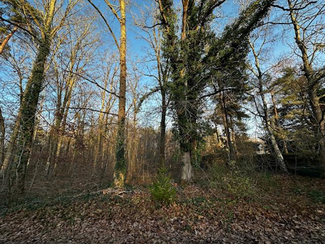 Terrain vente à Fontainebleau, La Genevraye
