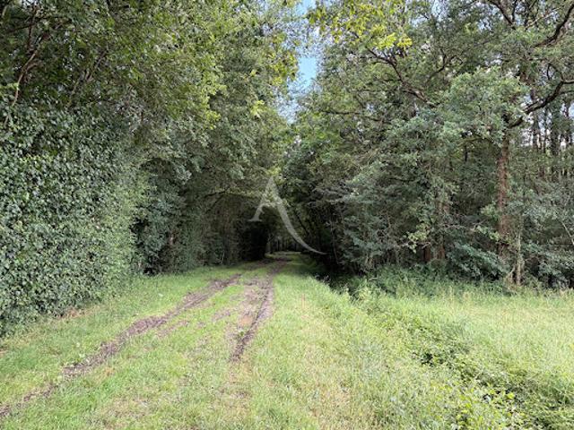 Terrain vente à Angers, Le Plessis-grammoire