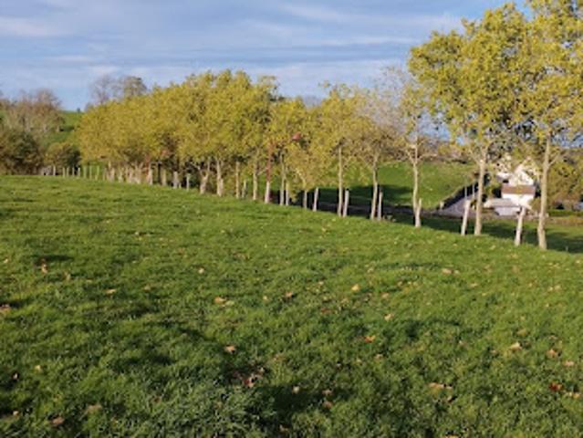 Terrain vente à Mauriac