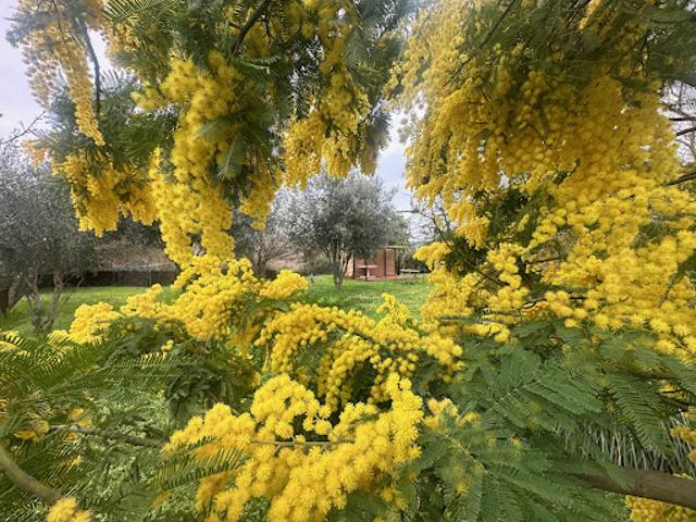Terrain vente à Brignoles, Pignans