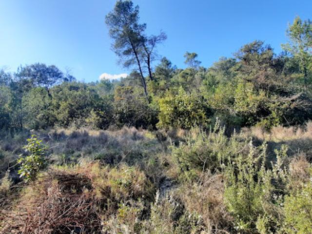 Terrain vente à Lotissement du Parc, Carnas