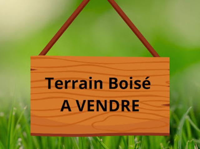 Terrain vente à Laon, Travecy