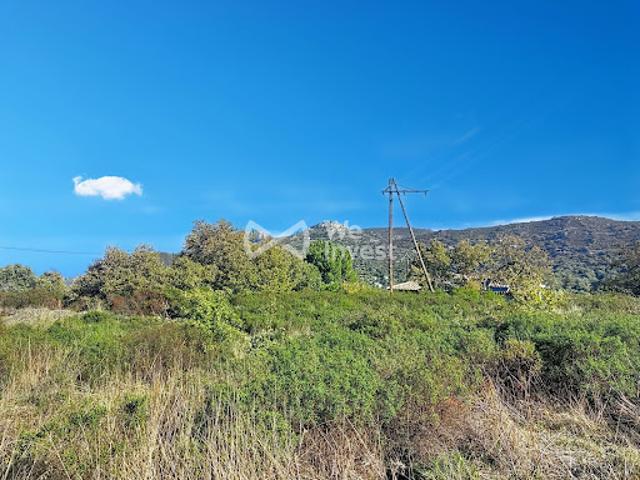 Terrain vente à Calvi, Aregno