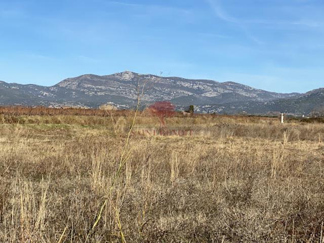 Terrain vente à Lodève, Saint-andré-de-sangonis