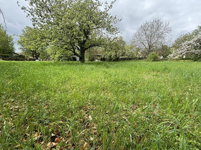 Terrain vente à Sarrebourg-Château-Salins, Sarrebourg