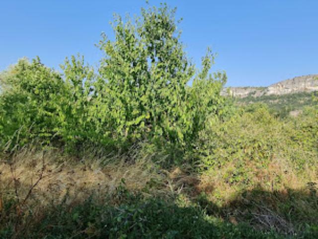 Terrain vente à Aubenas, Ardèche