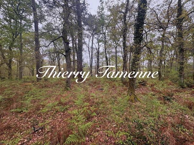 Terrain vente à Nérac, Barbaste