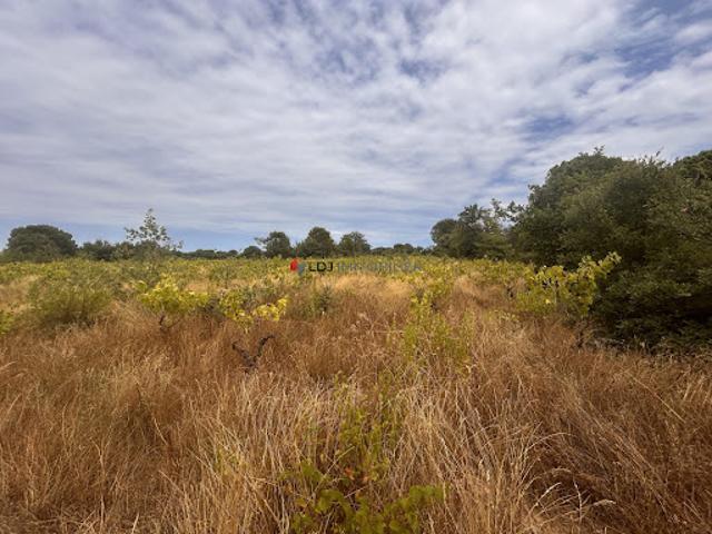 Terrain vente à Céret, Saint-génis-des-fontaines