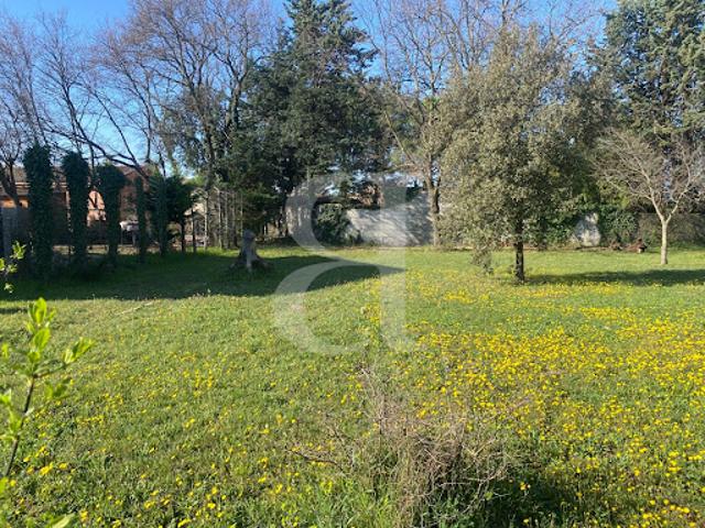 Terrain vente à Carpentras
