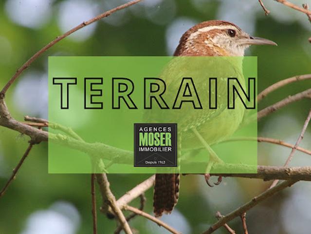 Terrain vente à Dax, Angresse