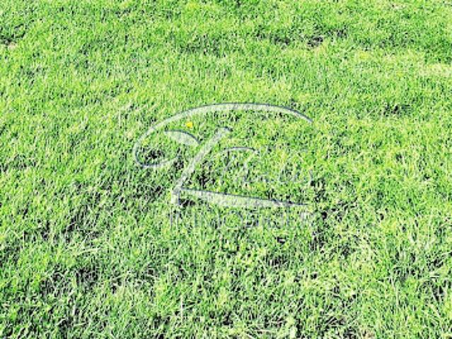 Terrain vente à France métropolitaine, Pugnac