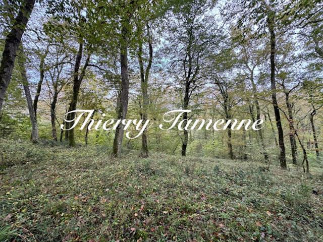 Terrain vente à Nérac, Barbaste