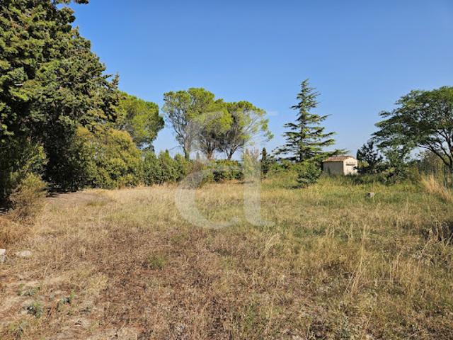 Terrain vente à Carpentras, Sainte-cécile-les-vignes