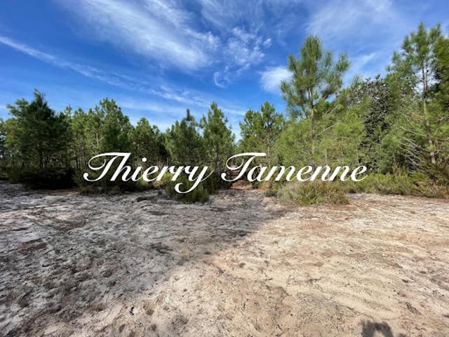 Terrain vente à Nérac, Barbaste