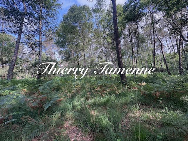 Terrain vente à France métropolitaine, Escalans