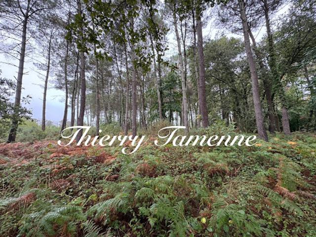 Terrain vente à France métropolitaine, Escalans