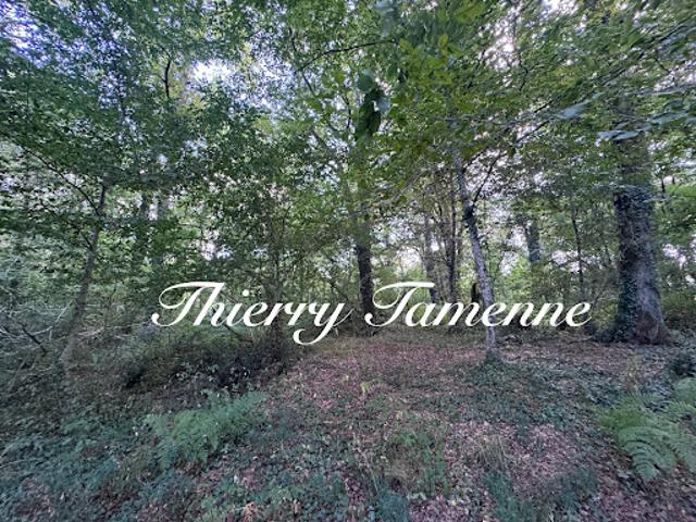 Terrain vente à Nérac, Saint-pé-saint-simon