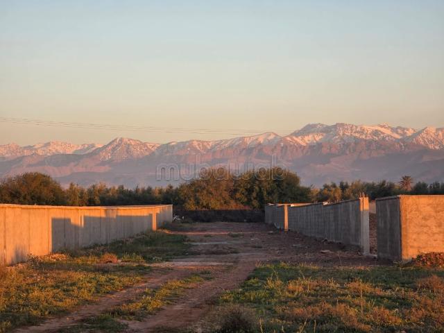 Terrain vente à Marrakech, L'Oriental