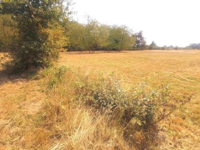 Terrain vente à Langon, Cours-les-bains