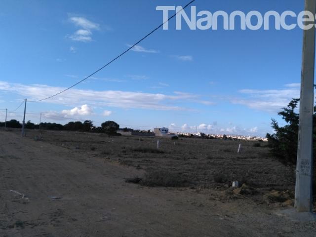 Terrain location