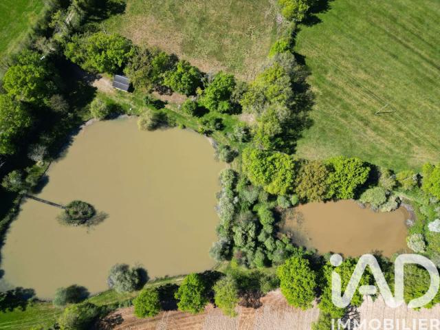 Terrain vente à Montmorillon, Availles-limouzine