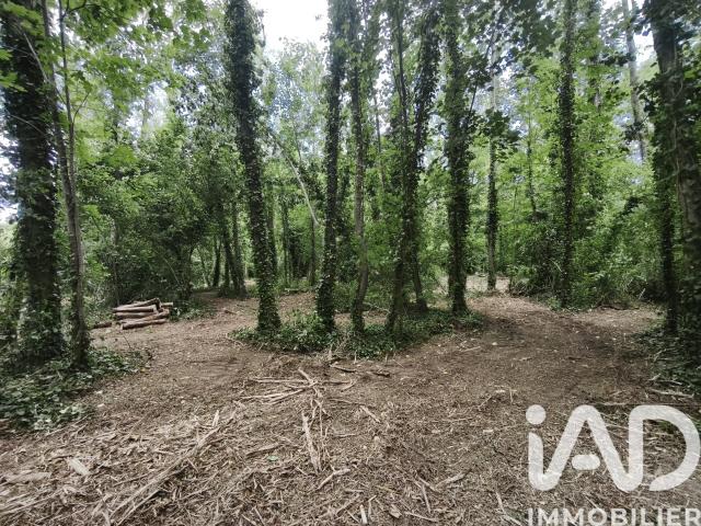 Terrain vente à Reims, Boult-sur-suippe