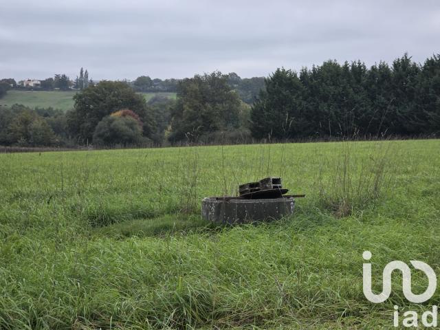 Terrain vente à Cholet, La Tessoualle