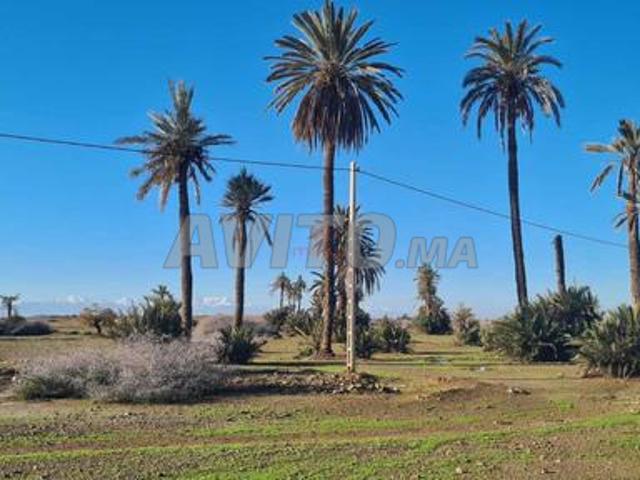 Propriété vente à Anfa, Gharb-Chrarda-Beni Hssen