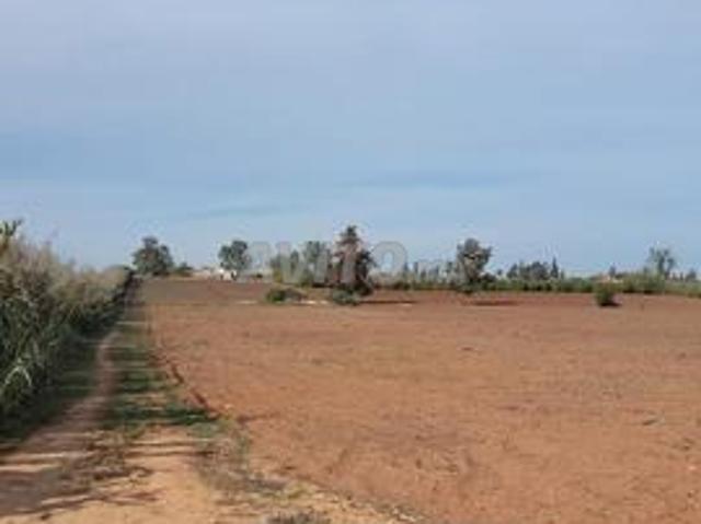 Propriété vente à Skhirate الصخيرات, Préfecture de Skhirate-Témara عمالة الصخيرات-تمارة