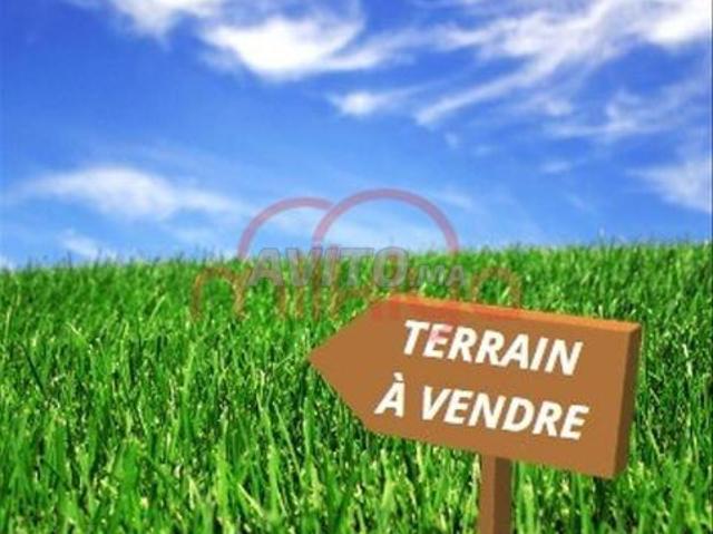 Propriété vente à Saf, L'Oriental