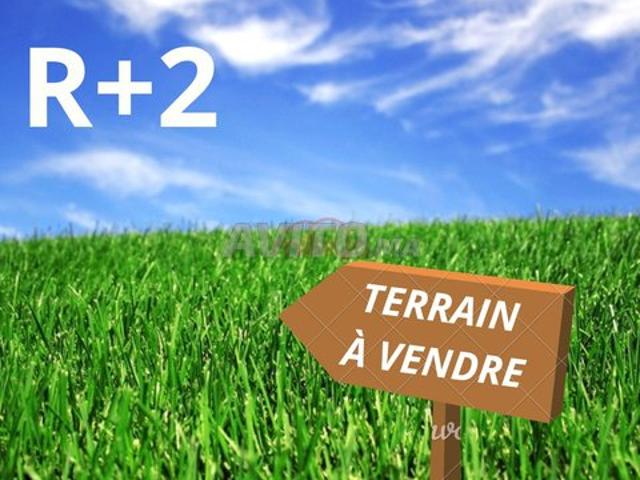 Propriété vente à Tamansourt, L'Oriental