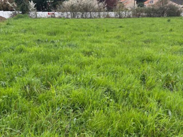 Terrain vente à Châteaubriant-Ancenis, Oudon