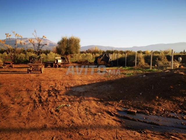 Propriété vente à Mellal