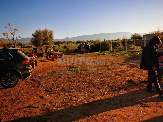 Propriété vente à Mellal