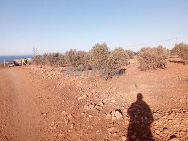 Propriété vente à Nador